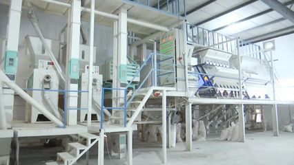 “碰網(wǎng)觸電”拓銷路，黃陂大米借力電商升級設(shè)備銷售
